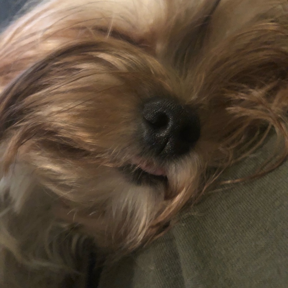 Meet your Posher, Tina